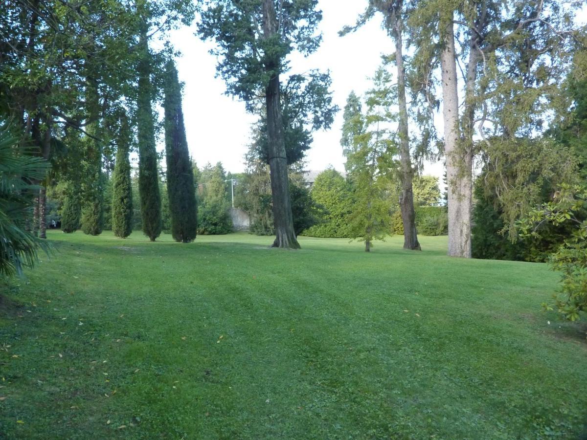 פורטו ואלטרוואליה Hermitage Mimosa מראה חיצוני תמונה
